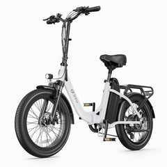 DYU C9 Folding Electric Bike - Pogo Cycles