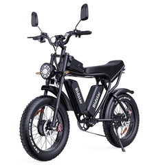 Ridstar Q20 Pro Electric Bike
