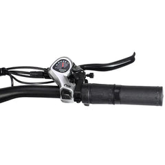 PHILODO Jumbo Dual Motor Electric Bike