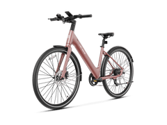 Heybike EC 1-ST Pedelec Electric Bike - Pogo Cycles