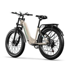 Shengmilo S700 1000W*2 Dual Motor Electric Bike - Pogo Cycles
