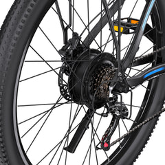 DUOTTS C29-L Electric Bike