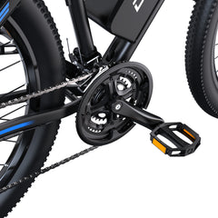 DUOTTS C29-L Electric Bike