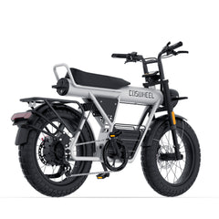 Coswheel CT20 2.0 Cargo Electric Bike