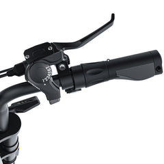 Coswheel CT20 2.0 Cargo Electric Bike