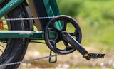Close-up of a Engwe EP-2 3.0 Boost Electric Bicycle chain and gear system with a blurred natural background