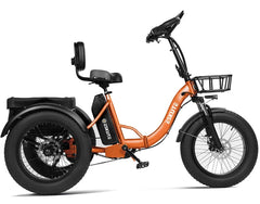 Eskute T302 Pro Cargo Electric Trike