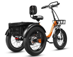 Eskute T302 Pro Cargo Electric Trike