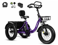 Eskute T302 Pro Cargo Electric Trike