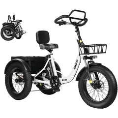 Eskute T302 Pro Cargo Electric Trike