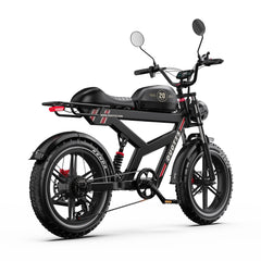 DUOTTS F20 Upgraded Electric Bike