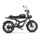DUOTTS F20 Upgraded Electric Bike
