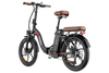 FAFREES F20 Pro City Electric Bike