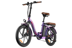 FAFREES F20 Pro City Electric Bike