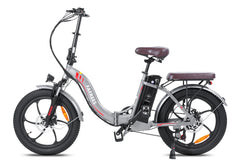 FAFREES F20 Pro City Electric Bike