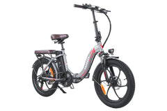 FAFREES F20 Pro City Electric Bike