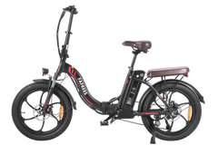 FAFREES F20 Pro City Electric Bike