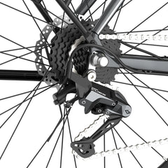 Fafrees F700M Electric Bike