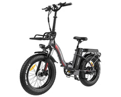 Fafrees F20 X-Max Electric Bike