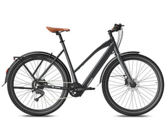 Black Fafrees F700W Electric bicycle on a white background