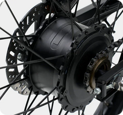 Riding Times GT73 Electric Bike - US - Pogo Cycles