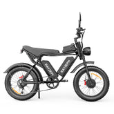 RAYZEPH C20 Max Electric Bike