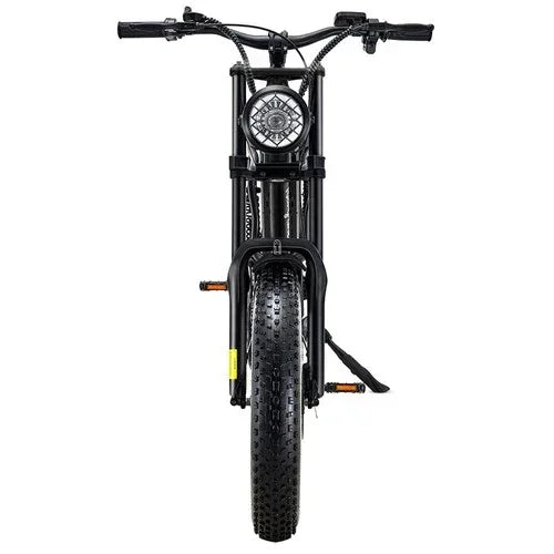 Riding Times Z8 Electric Bike - US - Pogo Cycles