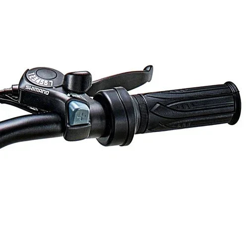 Riding Times Z8 Electric Bike - US - Pogo Cycles