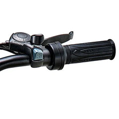 Riding Times Z8 Electric Bike - US - Pogo Cycles