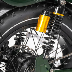 TESWAY X5 AWD Step-Thru Dual Motor Electric Bike