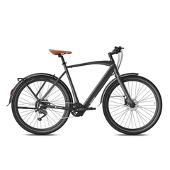 Fafrees F700M Electric Bike