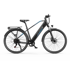 DUOTTS C29 Lite Electric Bike