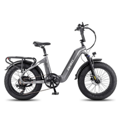 FAFREES F20 MASTER E-BIKE