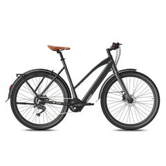 Fafrees F700W Electric Bike
