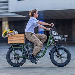 FIIDO T1 pro v2 upgraded Cargo Electric Bike - Pogo Cycles