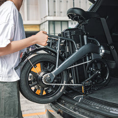 Fiido L3 Long Range Electric Bike