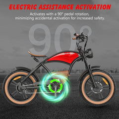 Hidoes B10 Electric Bike - Pogo Cycles