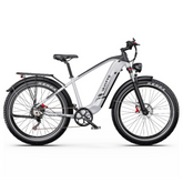DUOTTS F26 Lite Electric Bike