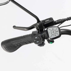 Ridstar Q20 Pro Electric Bike