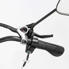 Ridstar Q20 Pro Electric Bike