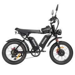 Ridstar Q20 Pro Electric Bike