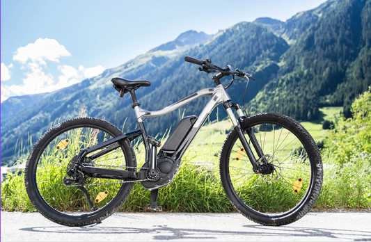Electric mountain bike silver and black side view on a scenic trail with mountains in background