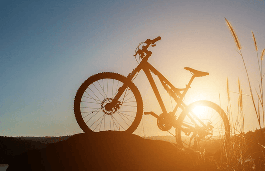 Full suspension electric bike side view on a hill at sunset, outdoor lifestyle scene