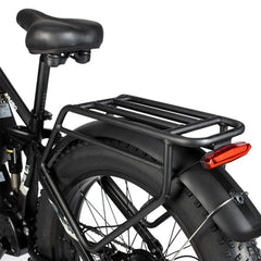 PHILODO Jumbo Dual Motor Electric Bike