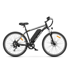 Yoloway M10 Electric Bike