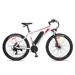 Fafrees F28 MT Mountain Electric Bike - Pogo Cycles