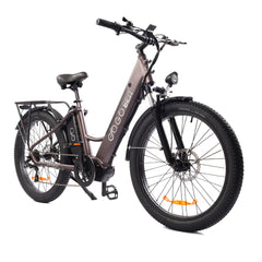 GOGOBEST GF850 Electric Bike