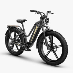 Fiido Titan Robust Cargo Electric Bike - Pogo Cycles