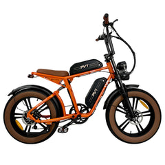 PVY X20 Electric Bike