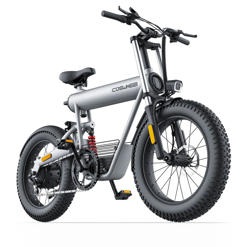 Vélo électrique cargo tout terrain Coswheel T20